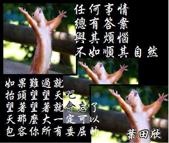 1239516_665190950165759_1922819276_n