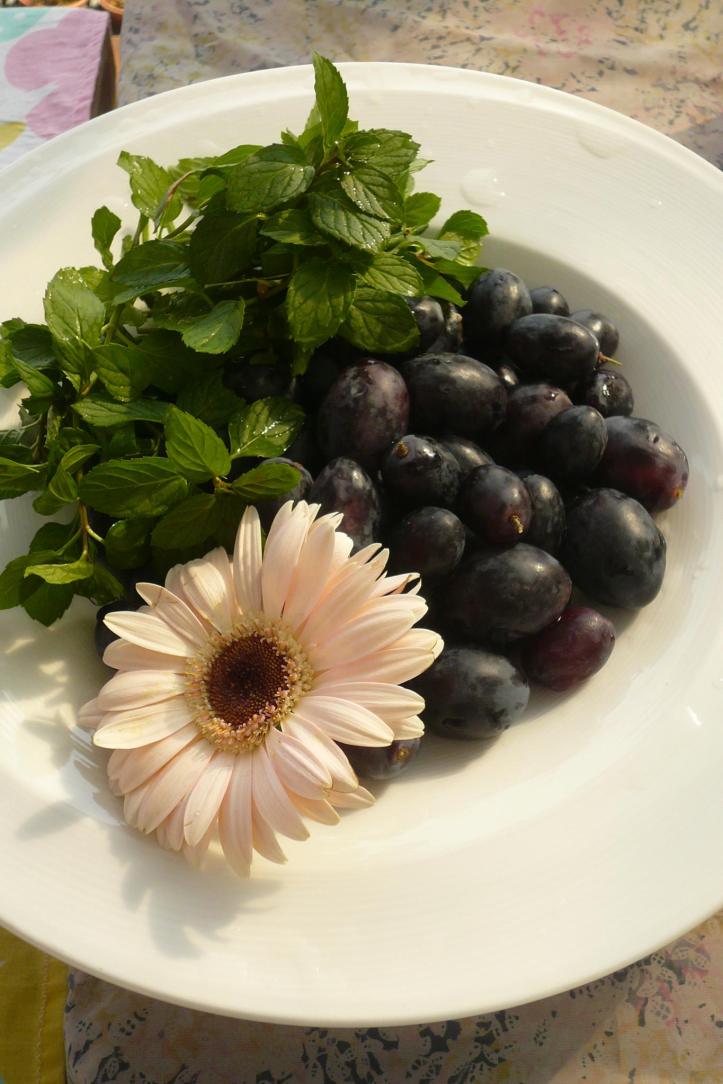 1412594_613966245330401_1687370909_o