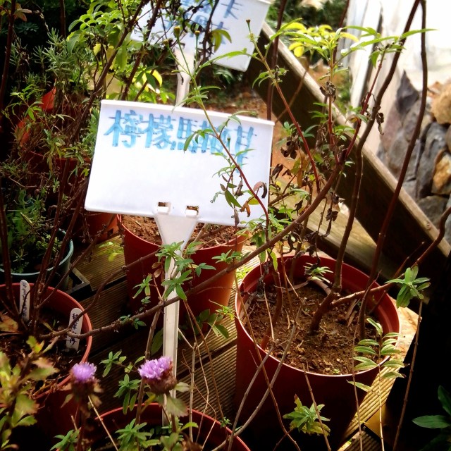 2013-12-08-10-44-53_deco