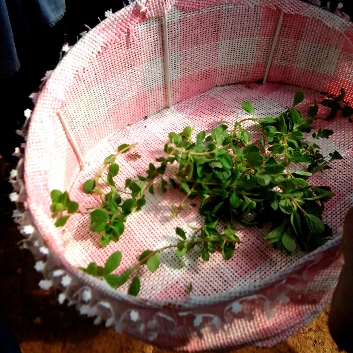 2013-12-08-11-08-23_deco