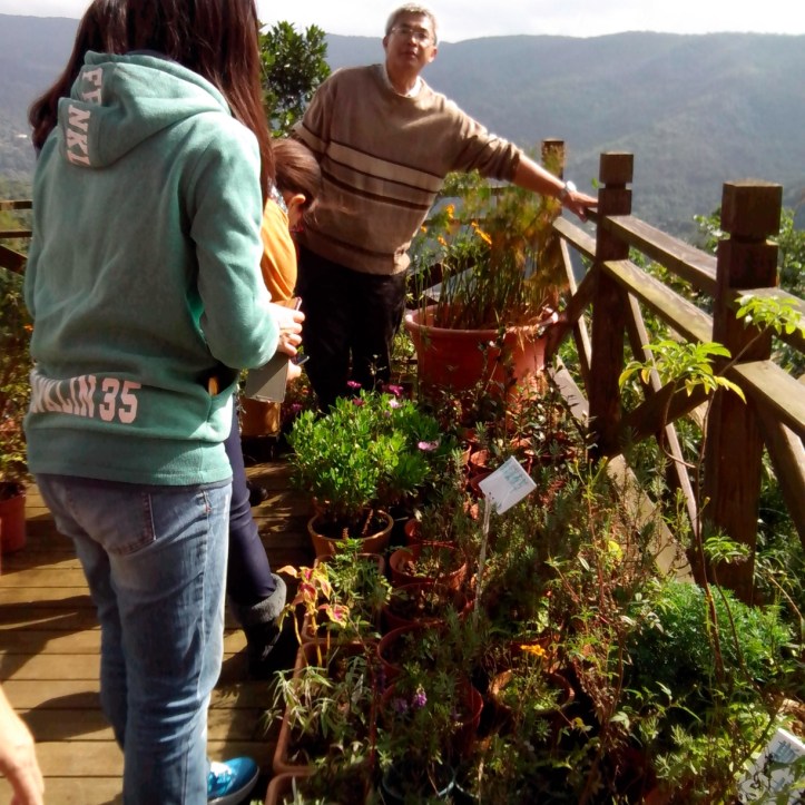 2013-12-08-11-24-06_deco