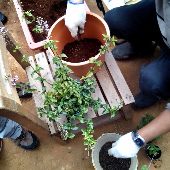 2013-12-08-14-07-18_deco