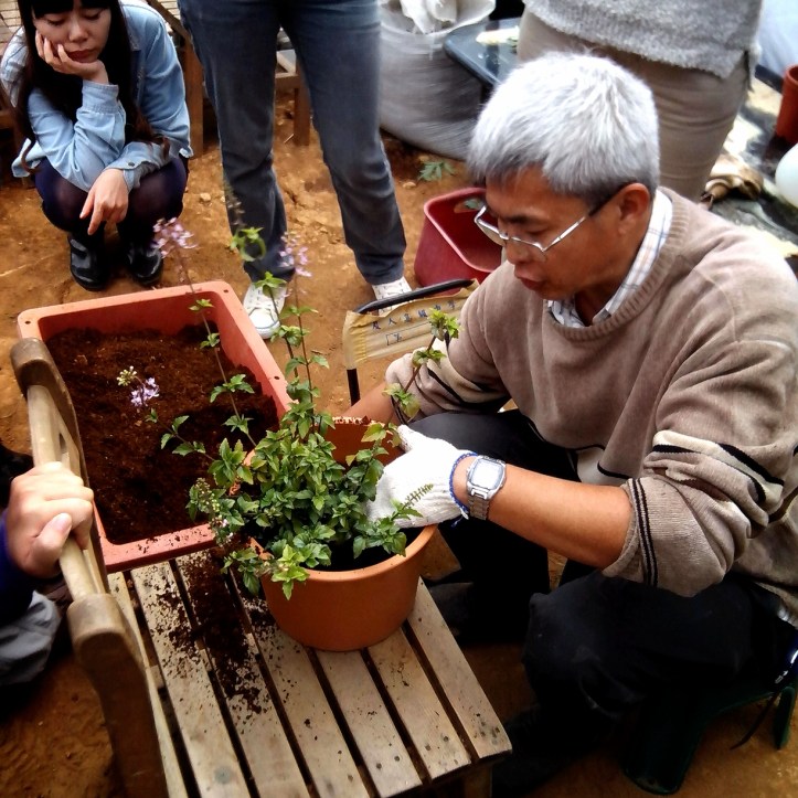 2013-12-08-14-08-59_deco