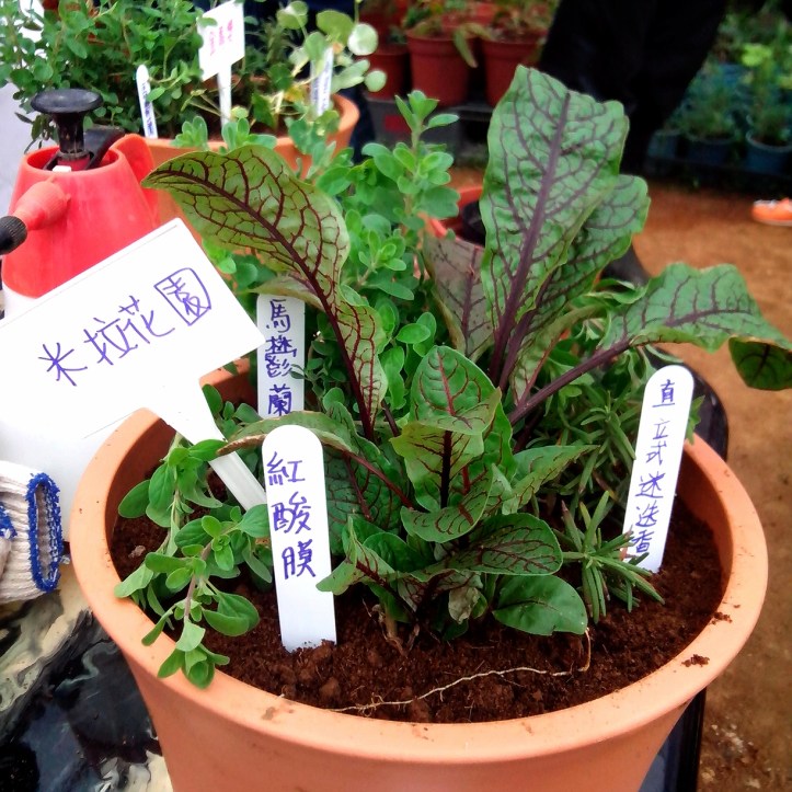 2013-12-08-14-42-35_deco