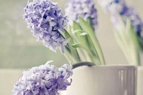 53r6000264213qq9o238